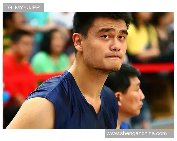 姚明职业生涯数据与荣誉成就全面回顾与分析